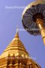 Dateiname=Xthai_0051.jpg
Dateigröße=164KB
Abmessungen: 320x480
hinzugefügt am: 14. Juni 2005 Xthai_0051.jpg