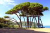 Dateiname=Toscana_0054.JPG
Dateigröße=439KB
Abmessungen: 780x520
hinzugefügt am: 16. Juni 2005 Toscana_0054.JPG