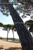 Dateiname=Toscana_0055.JPG
Dateigröße=328KB
Abmessungen: 440x660
hinzugefügt am: 16. Juni 2005 Toscana_0055.JPG