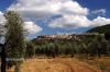 Dateiname=Toscana_0090.JPG
Dateigröße=398KB
Abmessungen: 780x520
hinzugefügt am: 16. Juni 2005 Toscana_0090.JPG